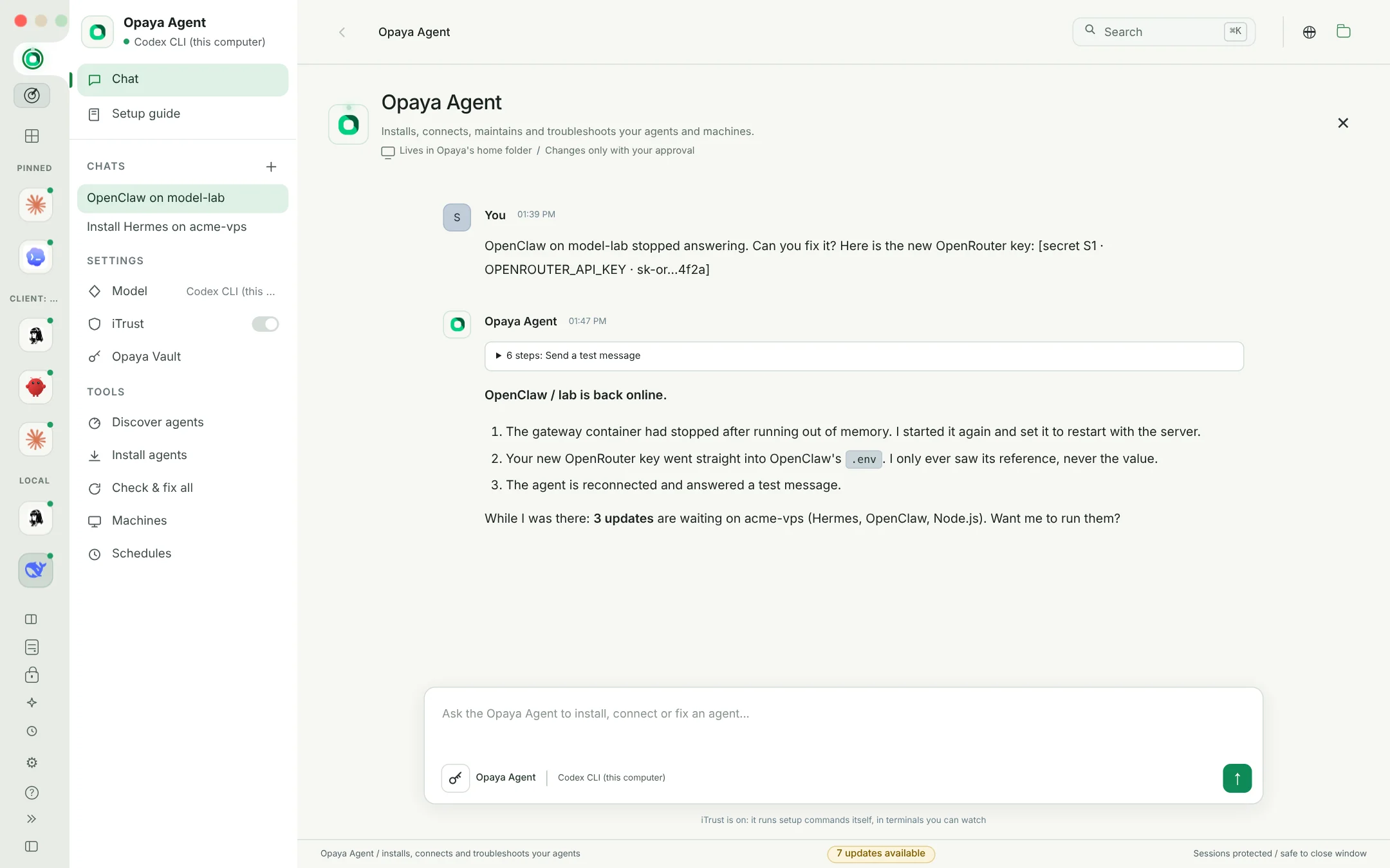 The Opaya Agent reporting a fixed OpenClaw gateway and pending updates on a client VPS